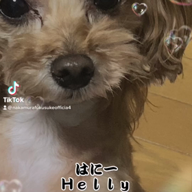2023/03/31の画像