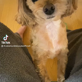 2023/02/16の画像