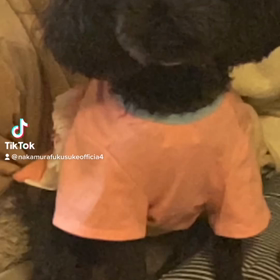 2023/02/28の画像