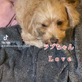 2023/02/14の画像