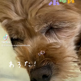 2022/11/20の画像