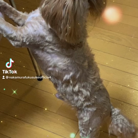 2023/01/17の画像