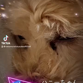 2022/12/06の画像