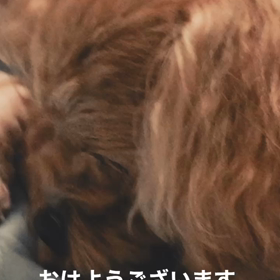 2022/08/02の画像