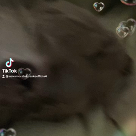 2022/12/11の画像