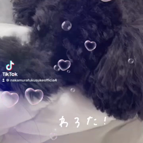 2022/12/20の画像