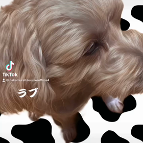 2023/01/26の画像