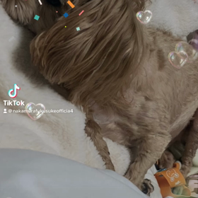 2023/01/26の画像