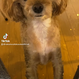2023/01/16の画像