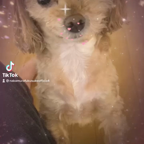 2023/02/18の画像