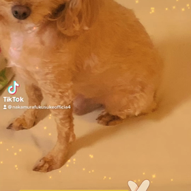 2023/01/11の画像