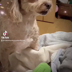 2023/02/13の画像