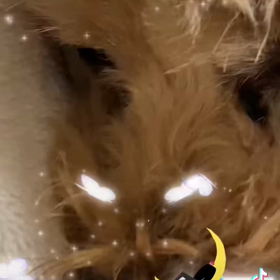 2022/12/03の画像