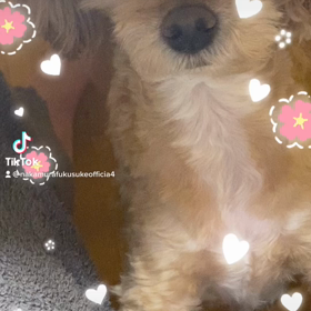 2023/03/10の画像