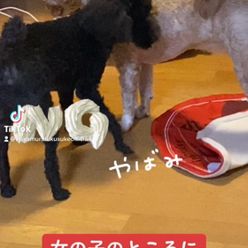 2022/12/20の画像