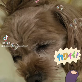 2022/11/24の画像