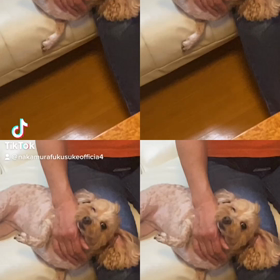 2023/03/23の画像
