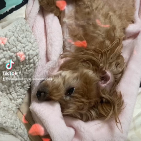 2023/02/17の画像