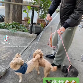 2023/01/12の画像