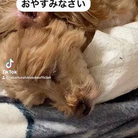 2023/11/23の画像