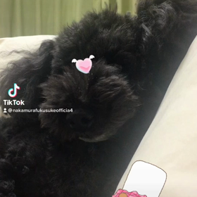2023/01/08の画像