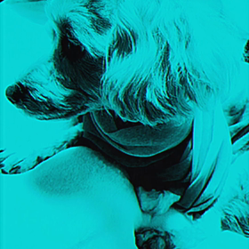 2022/11/08の画像