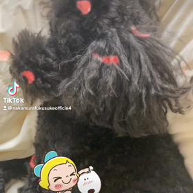 2023/01/10の画像