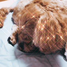 2022/07/27の画像