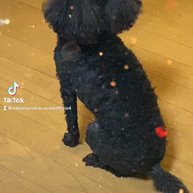 2023/01/13の画像