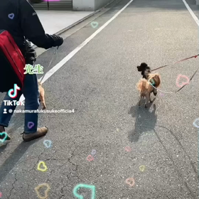2023/01/21の画像
