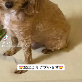 2023/01/07の画像