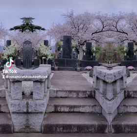 2023/03/31の画像