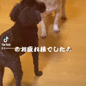 2023/01/05の画像
