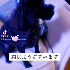 2023/01/03の画像