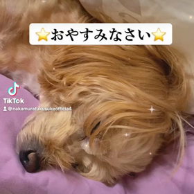 2023/01/03の画像