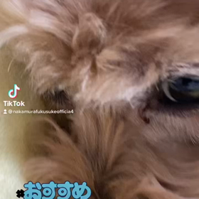 2022/12/18の画像