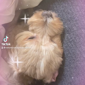 2023/01/17の画像