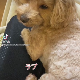 2023/02/01の画像