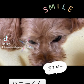 2022/11/19の画像