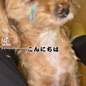 2023/01/04の画像