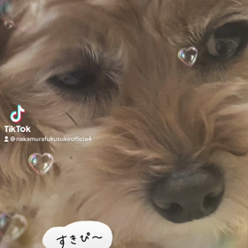 2022/11/20の画像