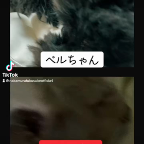 2022/12/12の画像
