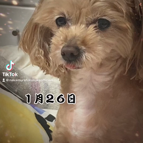 2023/01/26の画像