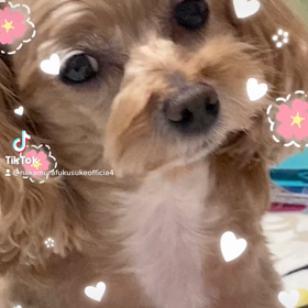 2023/04/10の画像