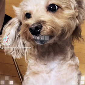2023/03/02の画像