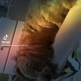 2023/03/31の画像
