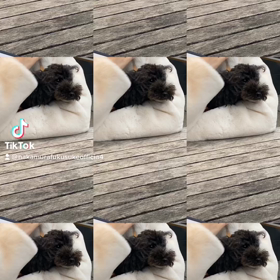 2023/03/16の画像