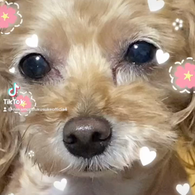 2023/03/28の画像