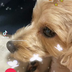 2022/11/04の画像