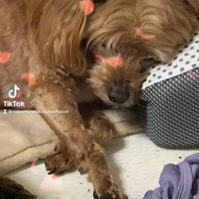 2023/02/08の画像